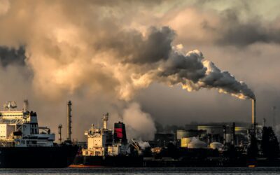 Supply Chain Emissions 2021 – Key Takeaways from our Webinar