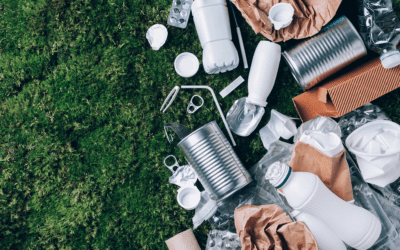 Unwrapping the EU Packaging and Packaging Waste Directive: Embracing Sustainable Packaging in a Circular Economy