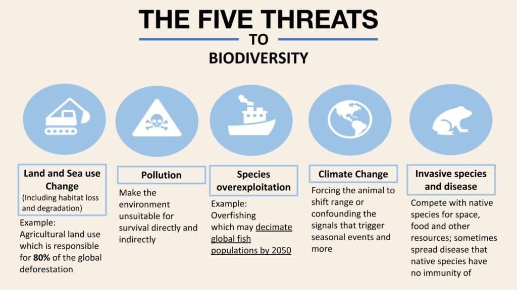Five threats to biodiversity chart by WWF